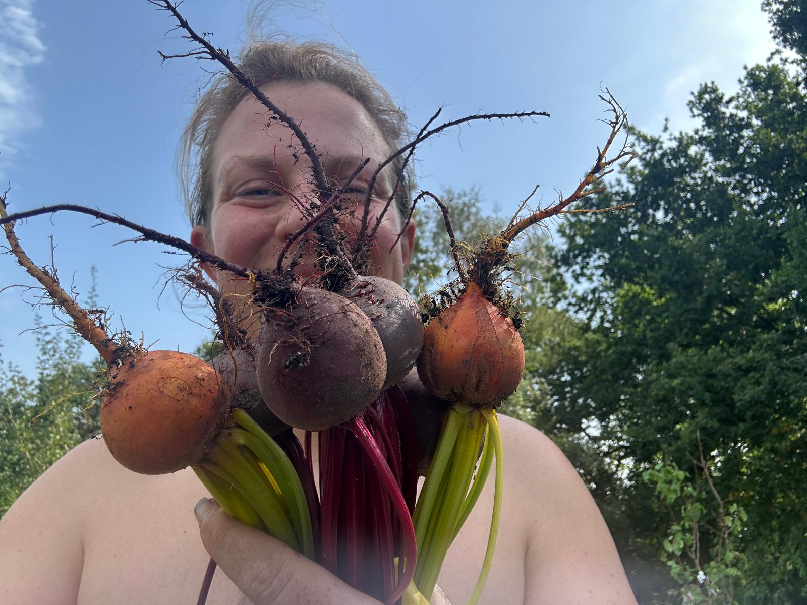 Organic growing vegetable growing guide
