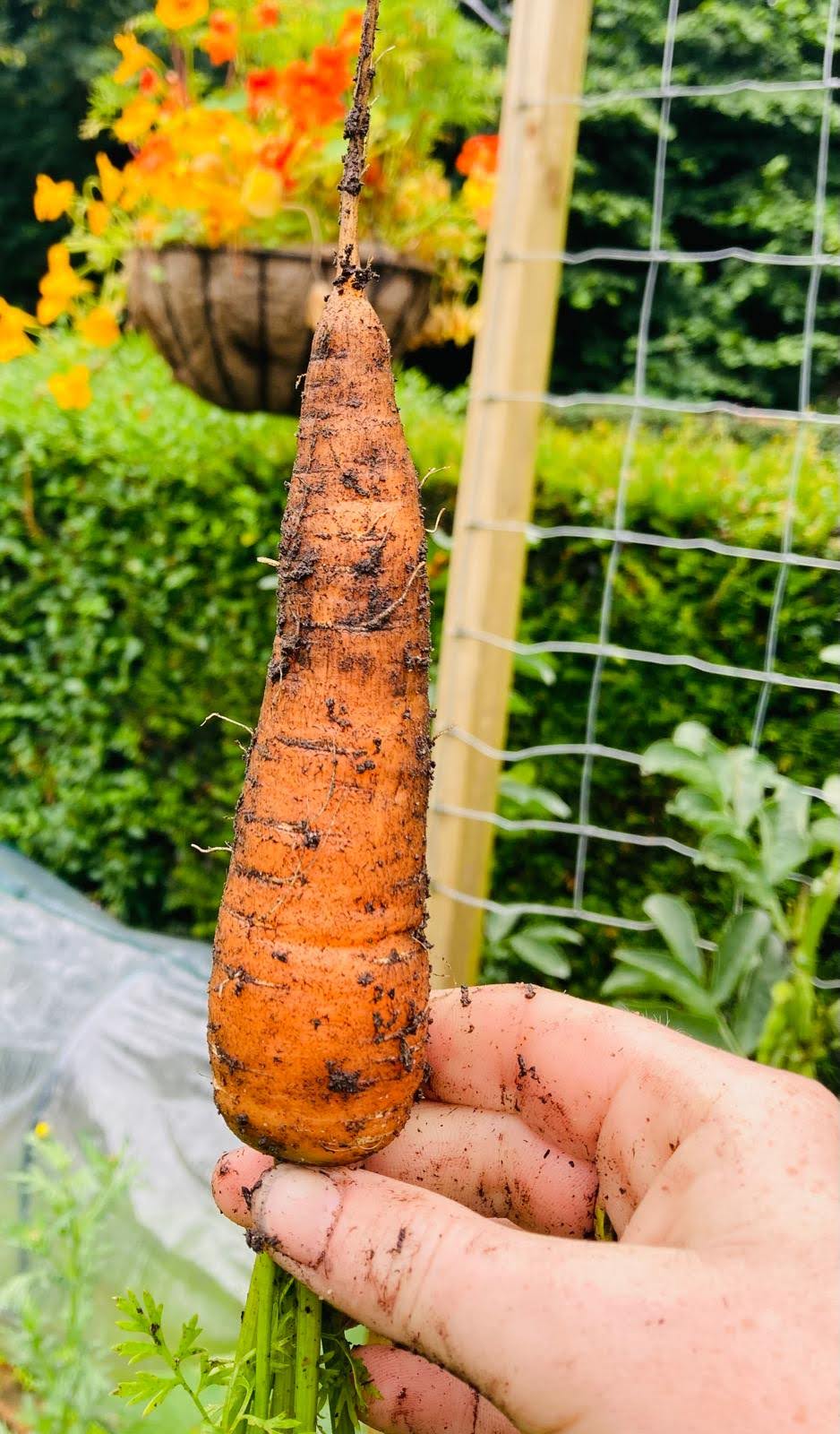 Growing produce naturally